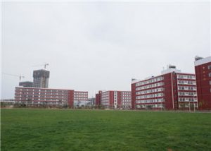 曲靖市高级技工学院2021年招生设置
