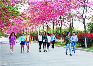云南医药健康职业学院2021年报名有哪些专业