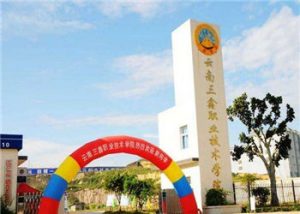 云南三鑫职业技术学院2021年三年制招生报名电话
